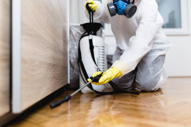 Best Pest Removal Services  in Cartervle, IL