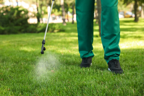 Best Termite Control Services  in Cartervle, IL