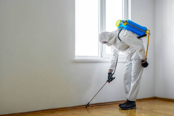 Best Affordable Pest Control Services  in Cartervle, IL