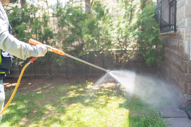 Trusted Carterville, IL Pest Control Experts