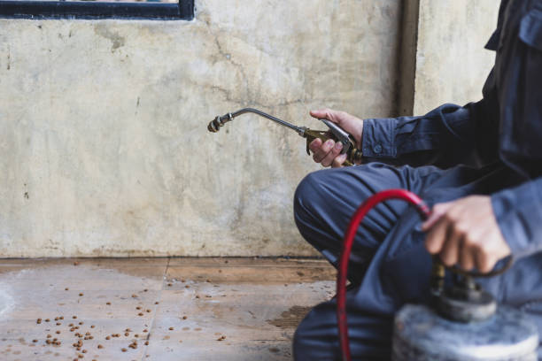 Best Mosquito Control Services  in Cartervle, IL