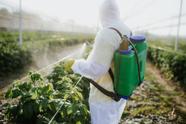 Best Cockroach Control Services  in Cartervle, IL